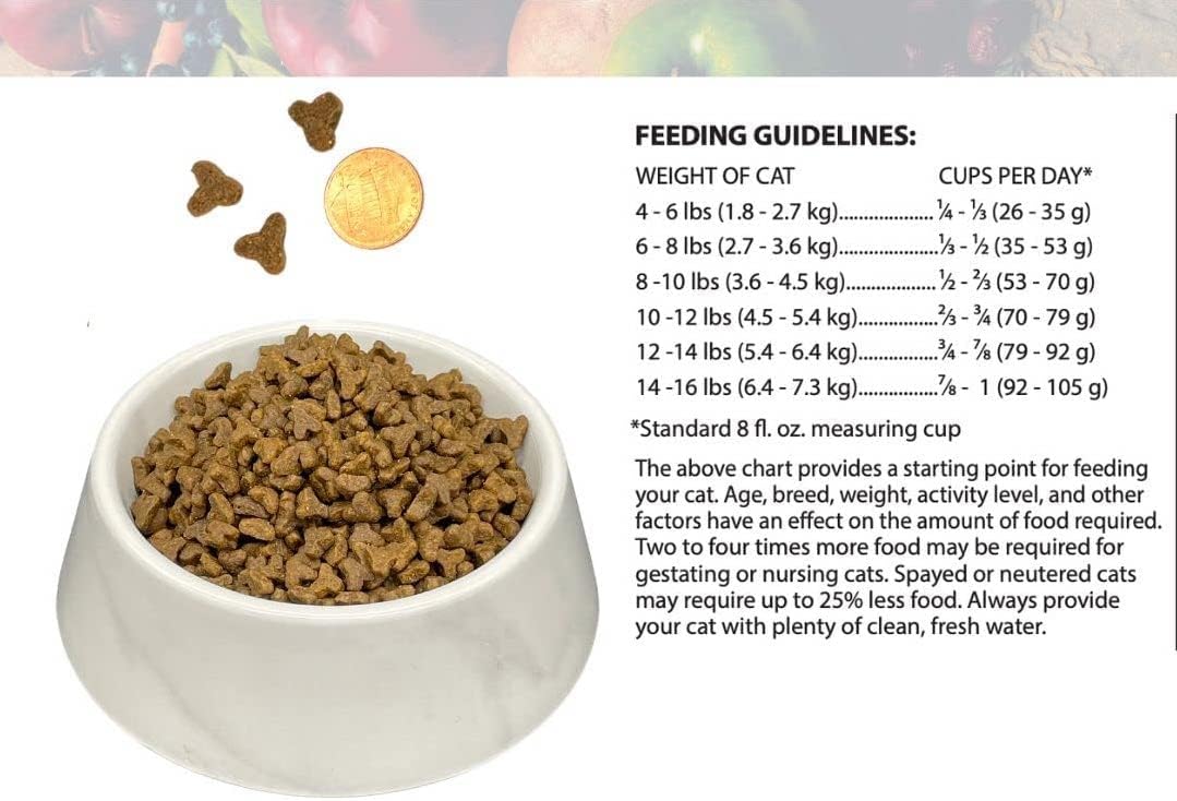 Bench & Field Holistic Natural Premium Adult Dry Cat Food, Chicken Meal and Brown Rice Recipe 3 lb Bag (Pack of 1)