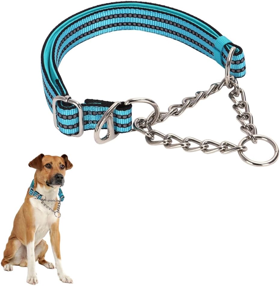 Choke Collar for Dogs，Stainless Steel Chain Collar Martingale, No Pull Slip Cinch Training Escape Proof Heavy Duty Dog Collar for Small Medium Large Pet Boy Male Dogs，Blue M