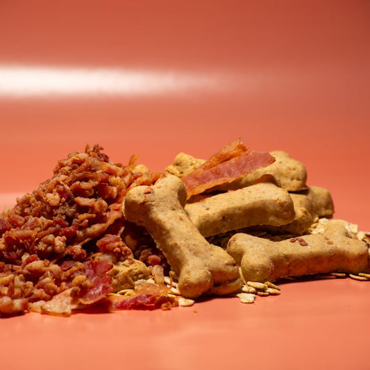 Activa 2lb Bacon Gourmet Dog Biscuits | Crunchy Dog Treats | (Medium, Bacon)