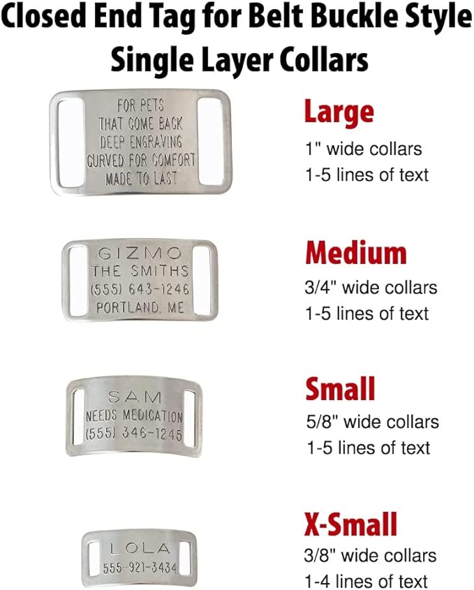 Boomerang Tags Slide on Dog ID Tags Engraved for Pets - Collar Tag, Personalized, Silent, Custom Slide-on Stainless Steel Dog Name Tag (Closed End Large for 1 Inch Wide Nylon Collars with Belt Buckle)