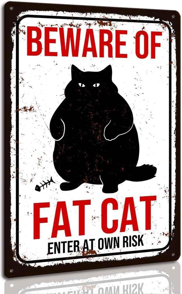 Funny Vintage Cat Metal Sign Beware of Cat Aluminum Sign Animal Decor 8 x 12 inch