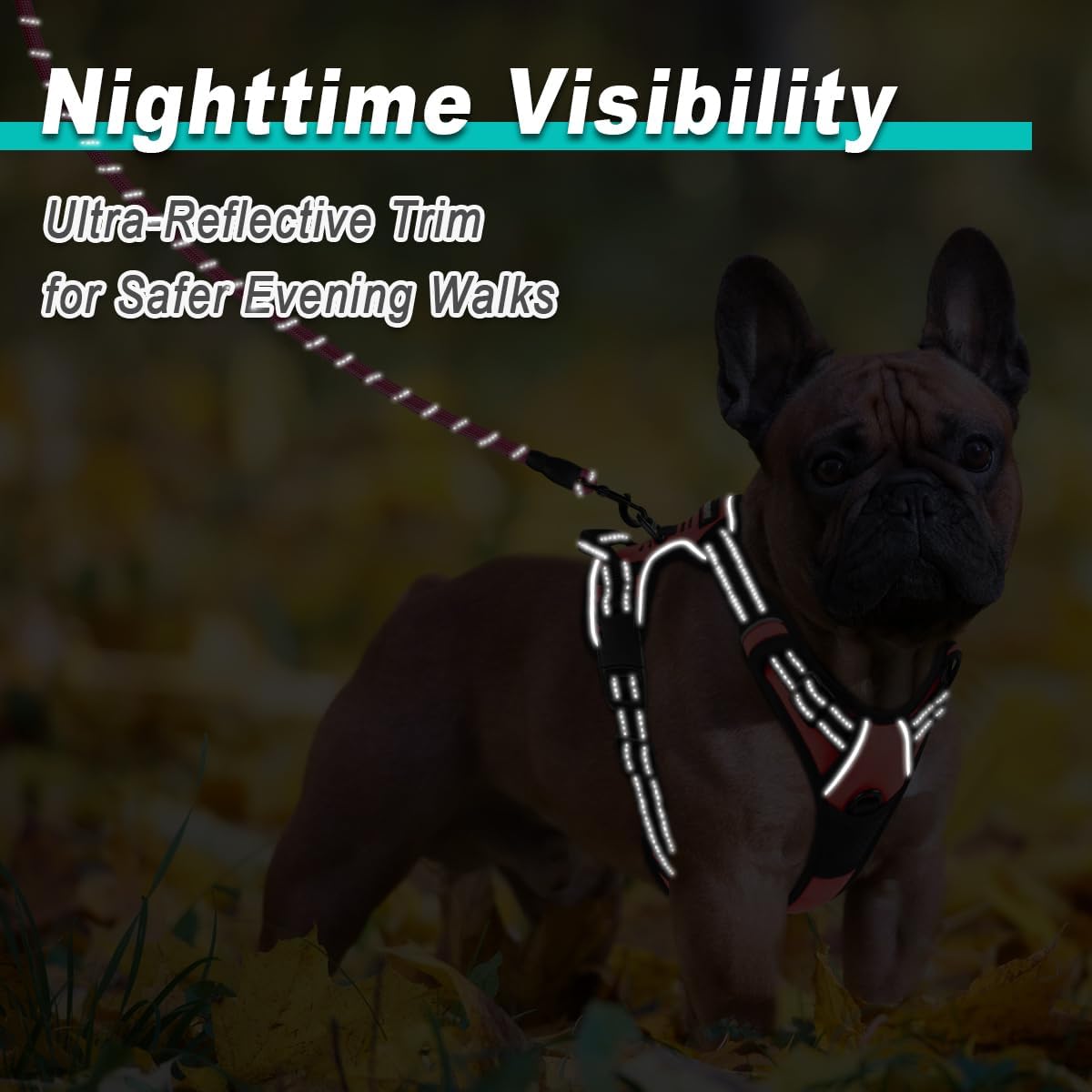 BARKBAY Dog Harness No Pull for Small Dogs - Adjustable, Reflective, Comfortable, No Choke, Heavy-Duty - Perfect for Outdoor Training, Walking, and Hiking - Strong & Durable - XS & Light Pink