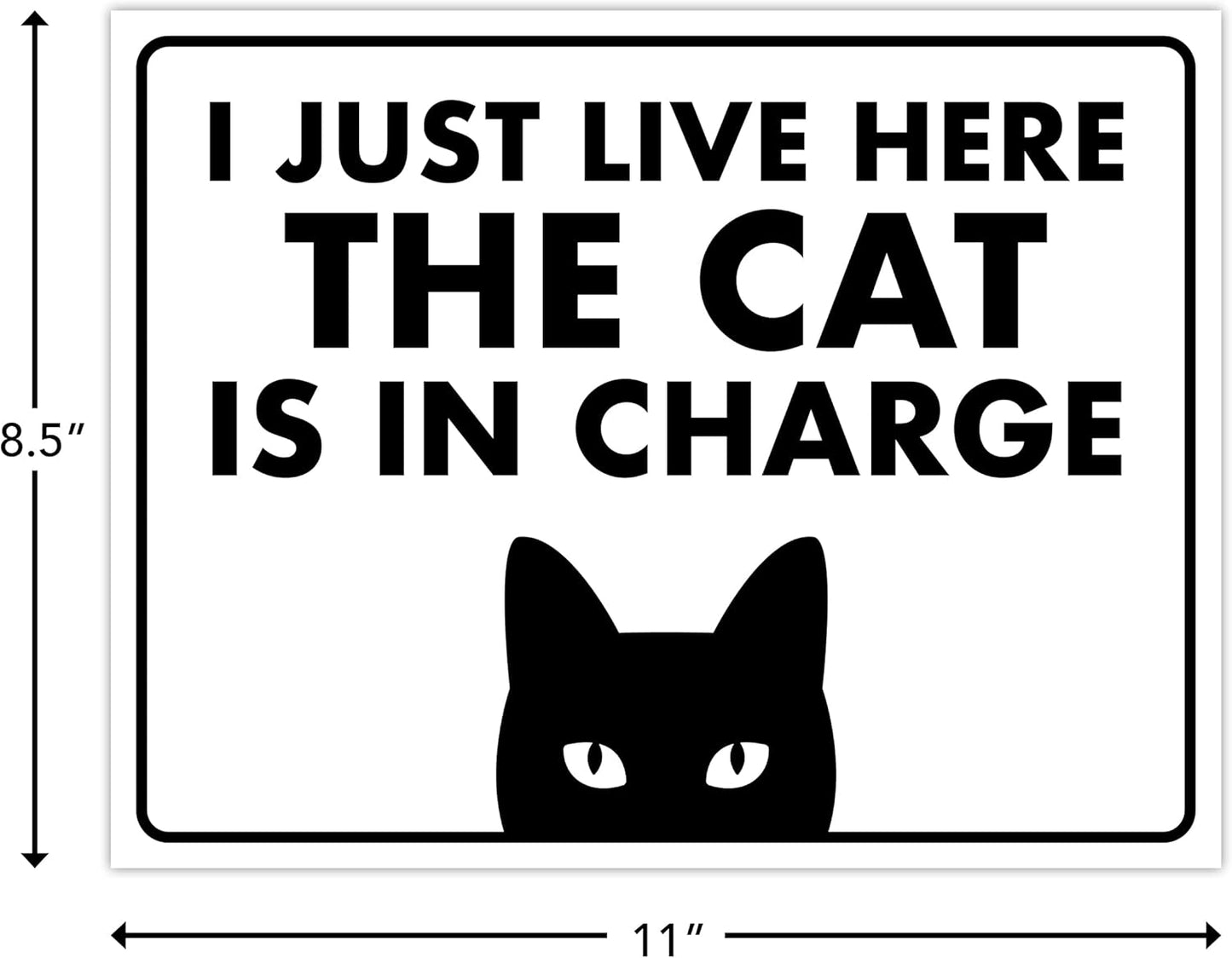 ENVISIONED Signage - I Just Live Here, The Cat is in Charge - Funny Sign, Laminated - 8.5" x 11" - Home Decor, Gift for Cat Lovers