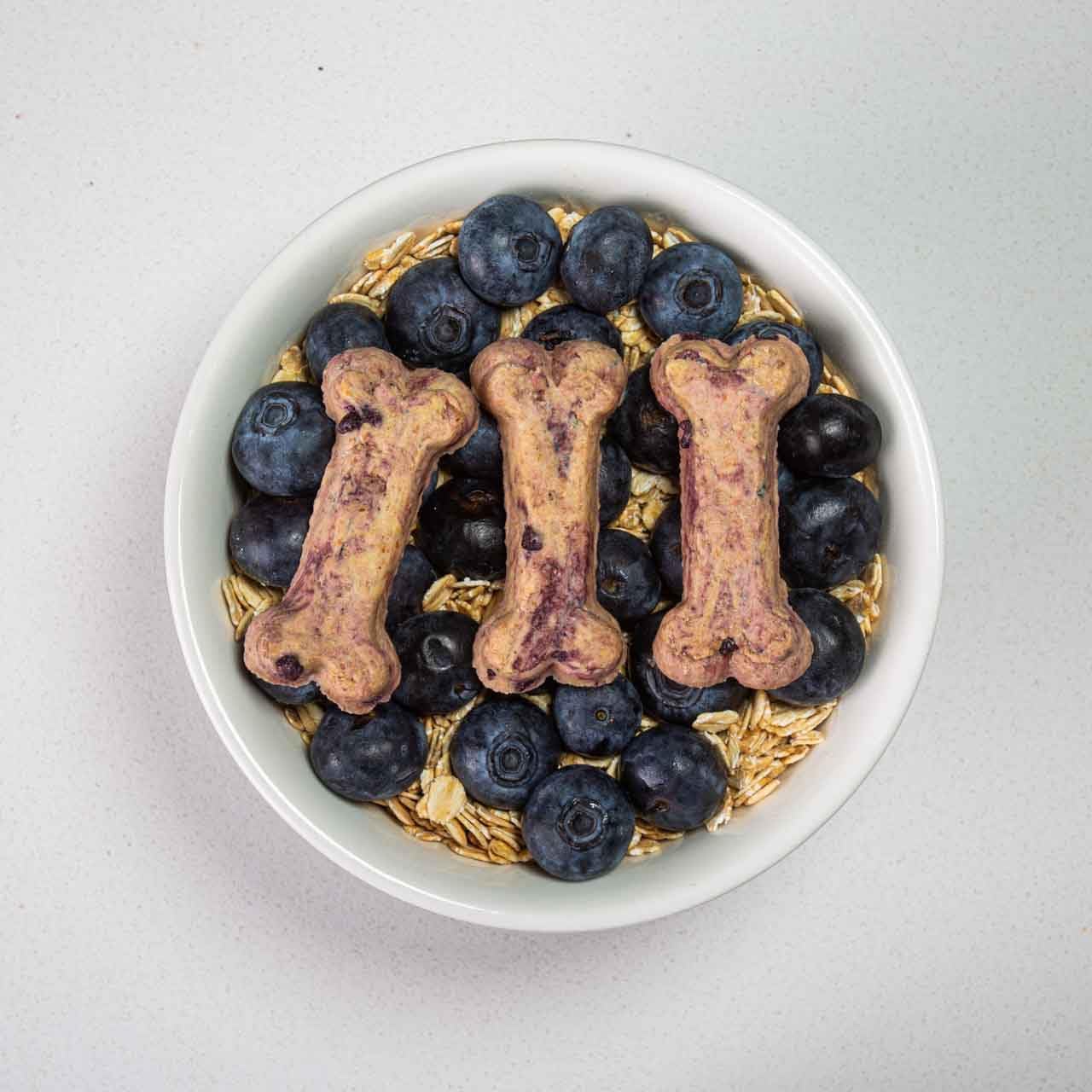 Activa 2lb Blueberry Gourmet Dog Biscuits | Crunchy Dog Treats | (Medium, Blueberry)