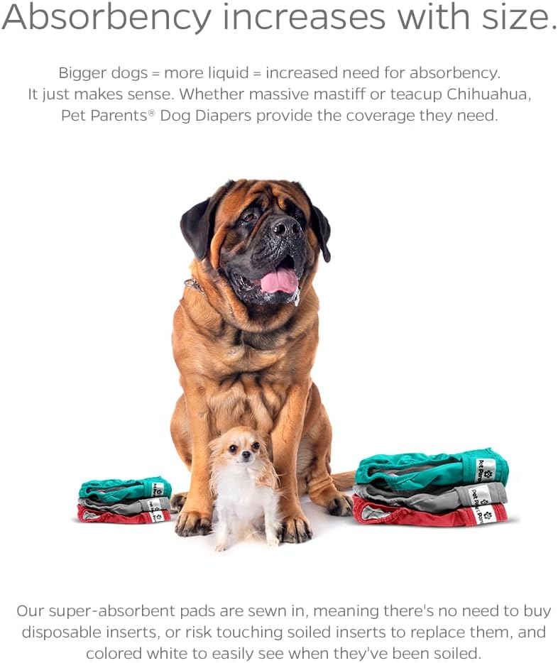 Pet Parents® Washable Dog Diapers (3pack) + Extendrs® of Durable Doggie Diapers, Premium Dog Diapers Female (Small, Southern Belle)