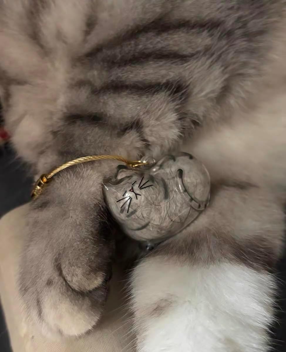 6 Pack Cat Hair Storage Keychain - Transparent Cat Fur Keepsake Capsule Pendant Keychain, Pet Hair Storage Bottle Container, Pet Lover Collecting Gift