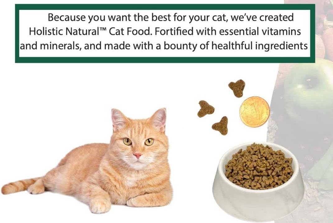 Bench & Field Holistic Natural Premium Adult Dry Cat Food, Chicken Meal and Brown Rice Recipe 3 lb Bags (Pack of 3)