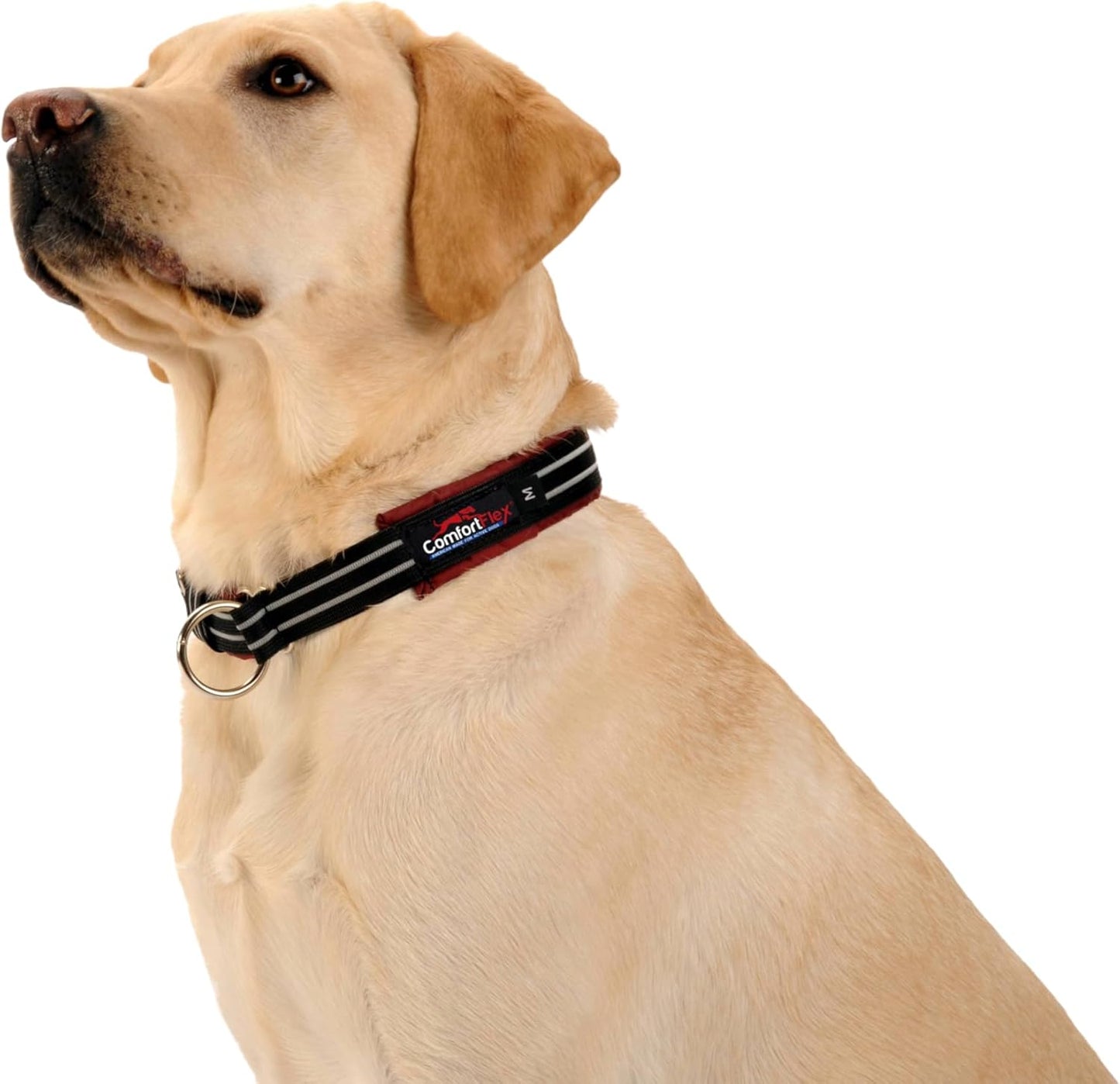 ComfortFlex Martingale Dog Collar - Made in The USA - 1.5" Wide, Reflective, Adjustable, Fully Padded Nylon, Gentle Control, Escape-Proof, Limited Slip Design, Medium, Hot Pink