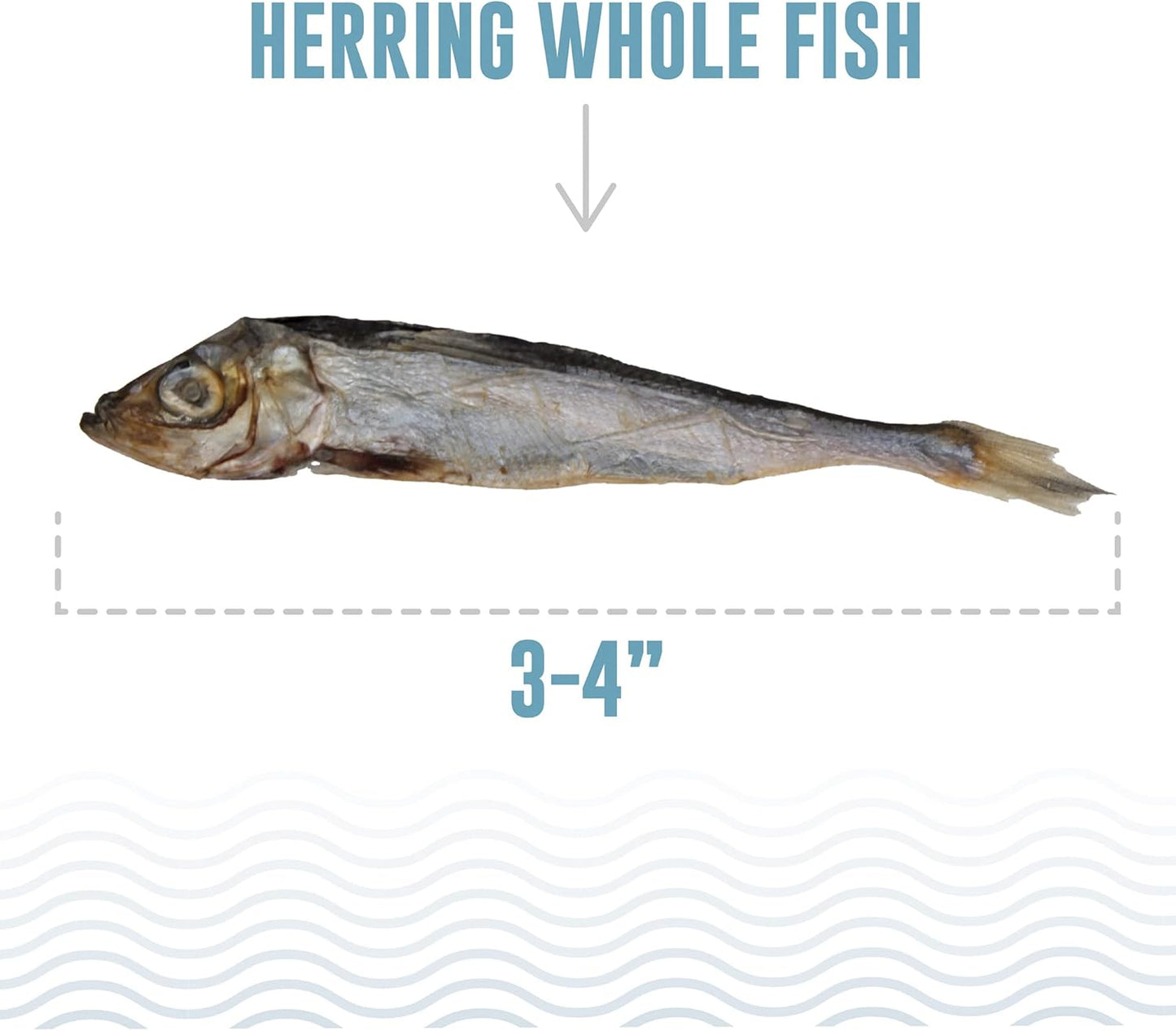 Icelandic+ Whole Fish Herring - 9oz Bag - Dog Treats, Pure Wild-Caught & Air-Dried, Single Ingredient Snack, Pet Chew, Just The Fish Nothing Else