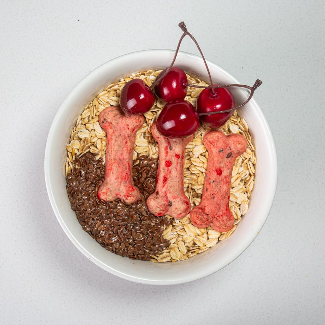 Activa 2lb Cherry Gourmet Dog Biscuits | Crunchy Dog Treats | (Medium, Cherry)