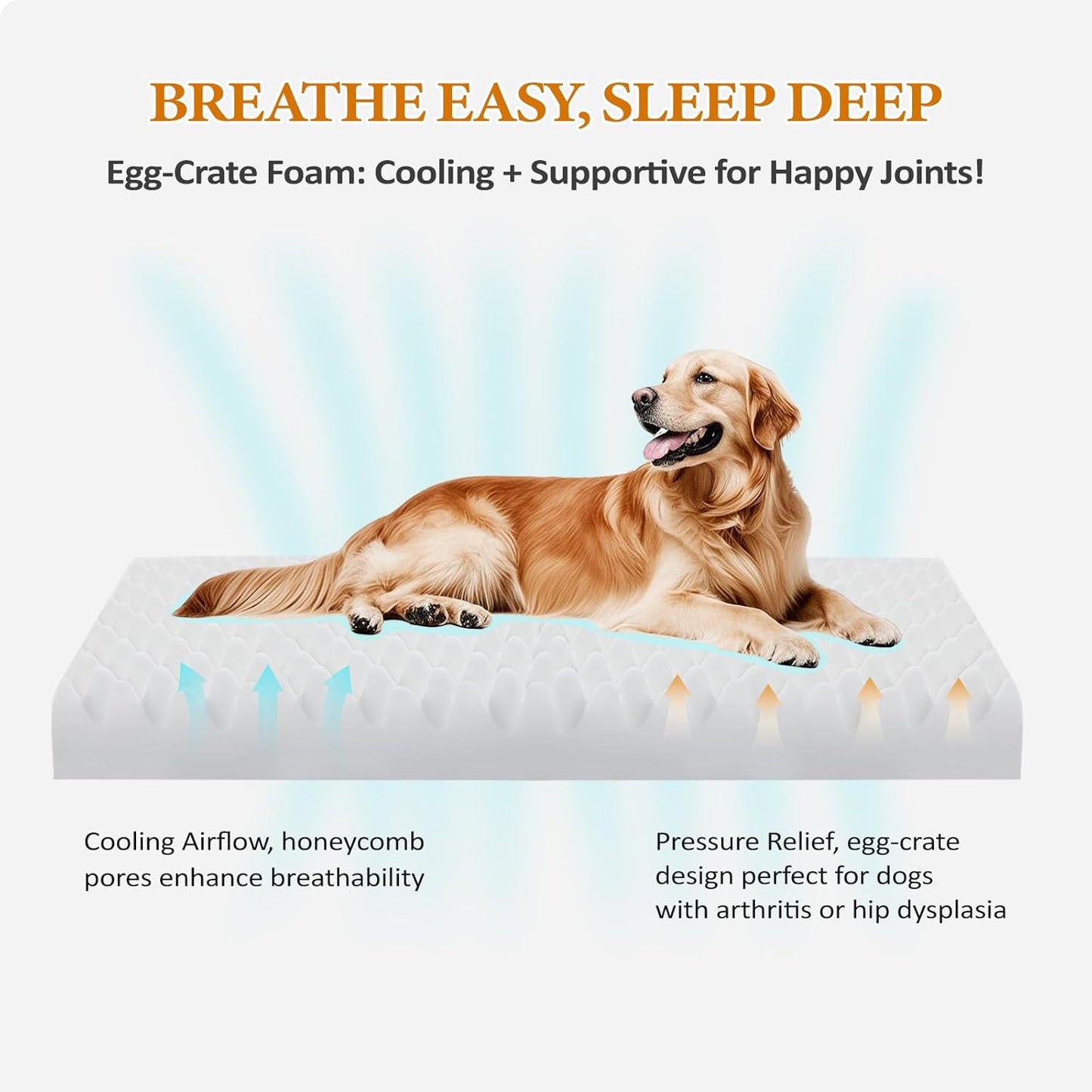 PAWZ Road Orthopedic Dog Bed Medium with Memory Foam,2-Layer Waterproof Cover and Non-Slip Bottom for Small, Medium and Large Dogs-Brown Large