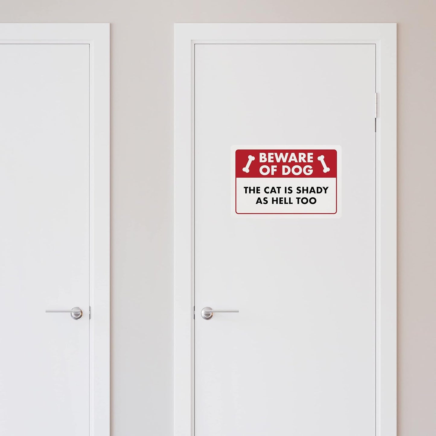 Beware of Dog, The Cat is Shady Too - Funny Cat Sign, Plastic - 8" x 12" - Perfect for Home Decor, Gift for Kitty Lovers, Warning Sign - ENVISIONED Signage