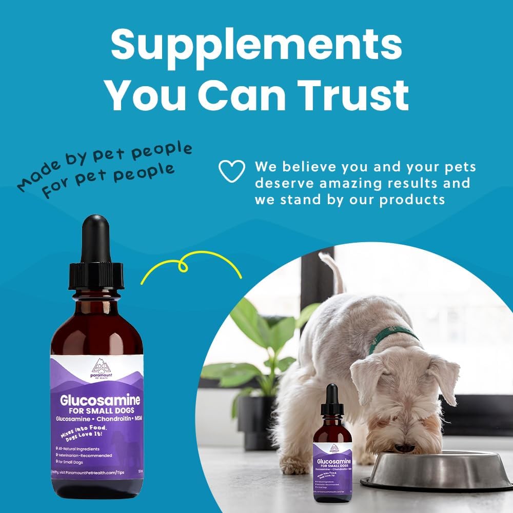 Paramount Pet Health Liquid Glucosamine for Small Dogs, 260mg Glucosamine Liquid for Dogs Joint Supplement for Mobility & Comfort, Easy-to-Use Liquid MSM & Chondroitin, 2 oz