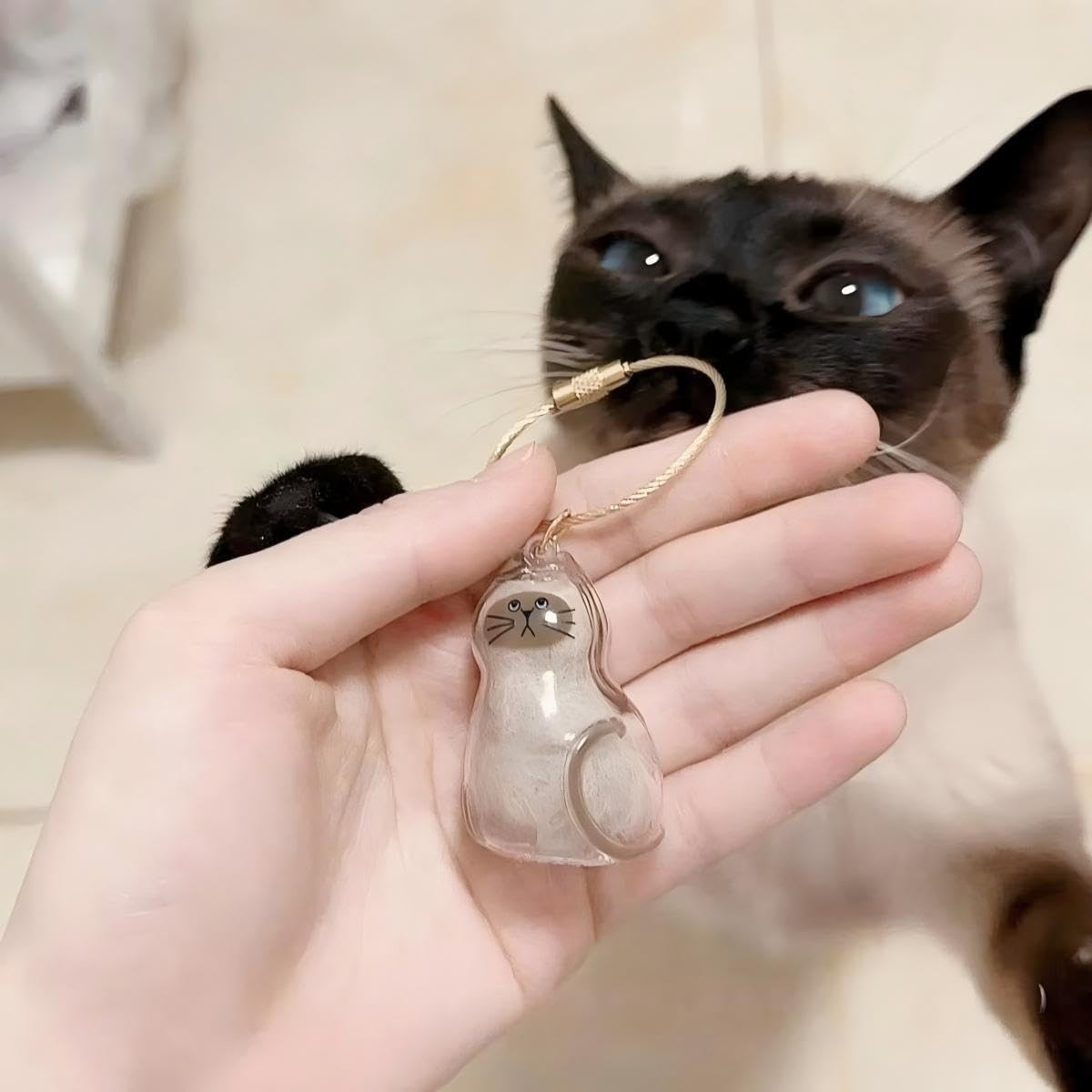 6Pcs Cat Hair Keychain - Pet Hair Memorial Keychain,Transparent Cat Fur Container,Portable Pet Keepsake for Cat Lovers,Cat Fur Memory Charm,Cat Fur Keepsake