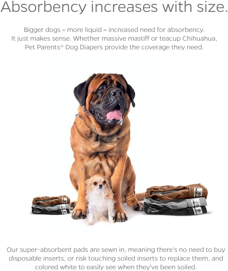 Pet Parents® Washable Dog Diapers (3pack) + Extendrs® of Durable Doggie Diapers, Premium Dog Diapers Female (Small, Natural)