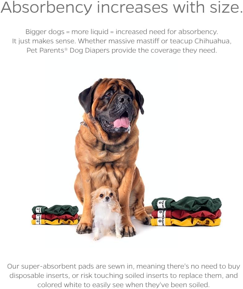 Pet Parents® Washable Dog Diapers (3pack) + Extendrs® of Durable Doggie Diapers, Premium Dog Diapers Female (X-Large, Samba)