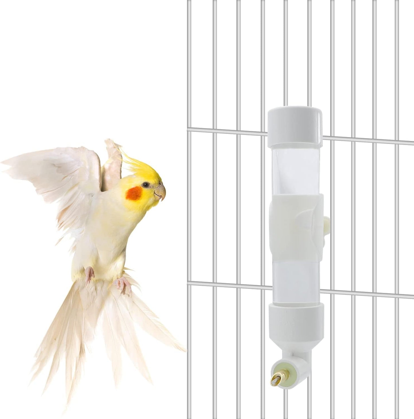 Bird Water Dispenser Parrot Waterer Automatic Bird Water Feeder for Medium Birds Parakeet Cockatiel Conure Caique (Small)
