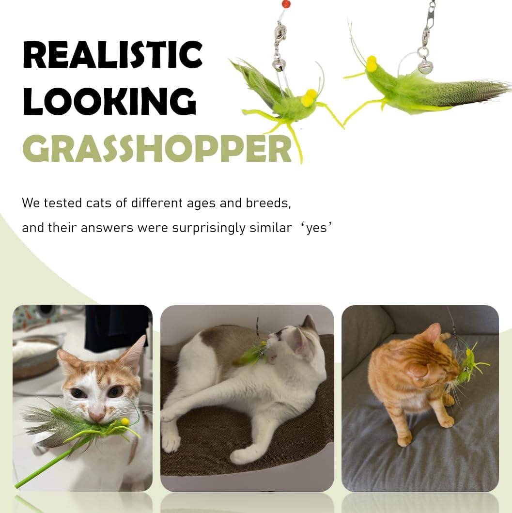 Cat Insect Feather Toys Replacement - 2 Pcs Handmade Natural Grasshopper - Cat Toy Wand Refills - Interactive Kitten Teaser Wand Attachments - Cat Toys for Indoor Cats Play