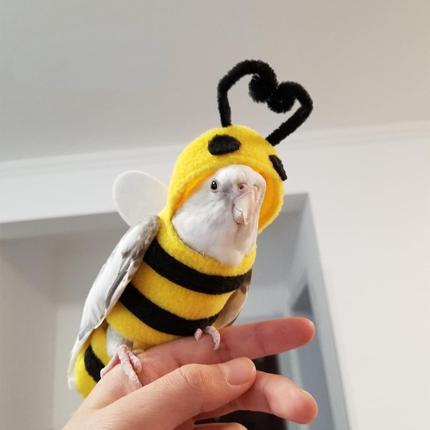 Bird Costume Diaper Flight Suit Bee Shape Hoodie Clothes Cosplay Photo Prop for Parrots Parakeet Cockatiel Sun Conure, Small Animals Apparel (Bee with Diaper, Large), Green