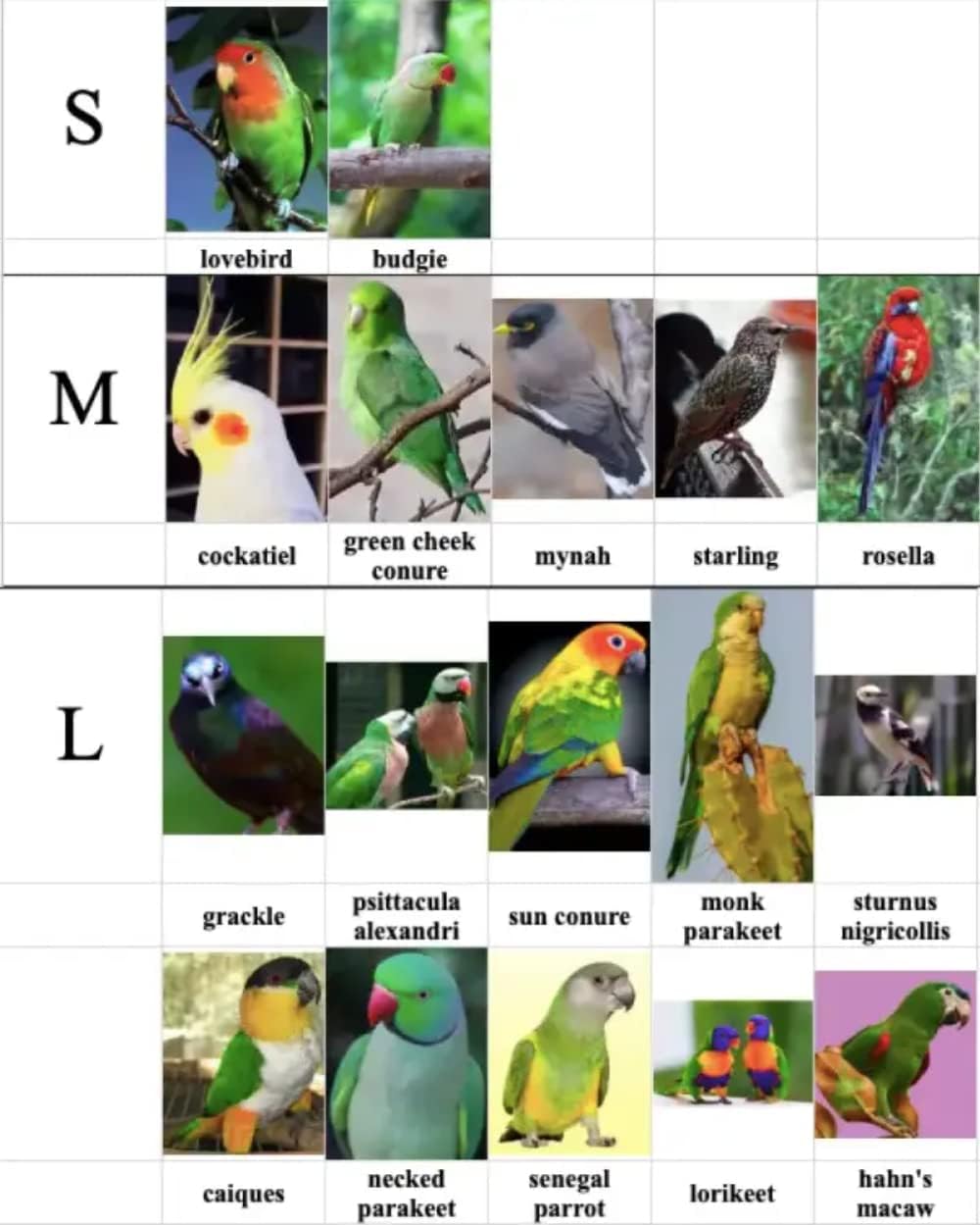 Bird Costume Diaper Flight Suit Frog Shape Hoodie Clothes Cosplay Photo Prop for Parrots Parakeet Cockatiel Sun Conure, Small Animals Apparel (Pink Without Diaper, Small), Green