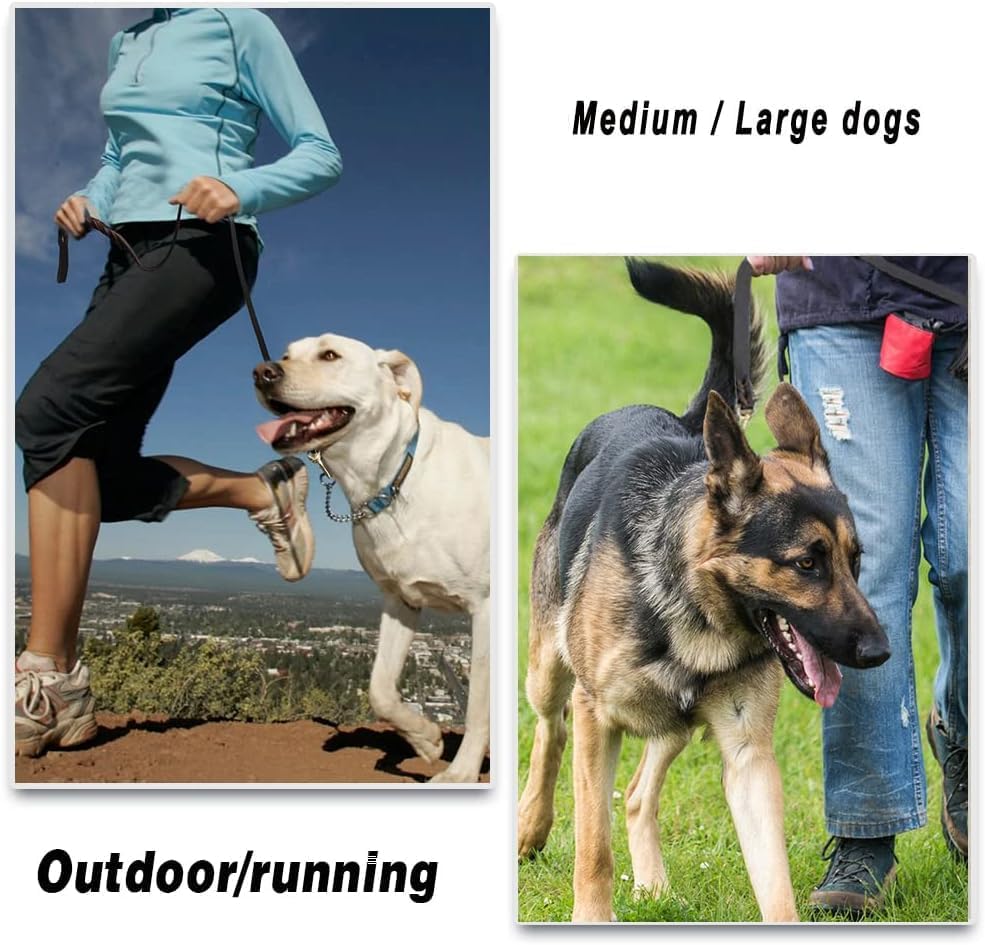 LWBMG Leather Dog Leash - 4ft x 3/4 inch, Heavy Duty, Braided, Comfortable for Large, Medium & Small Dogs