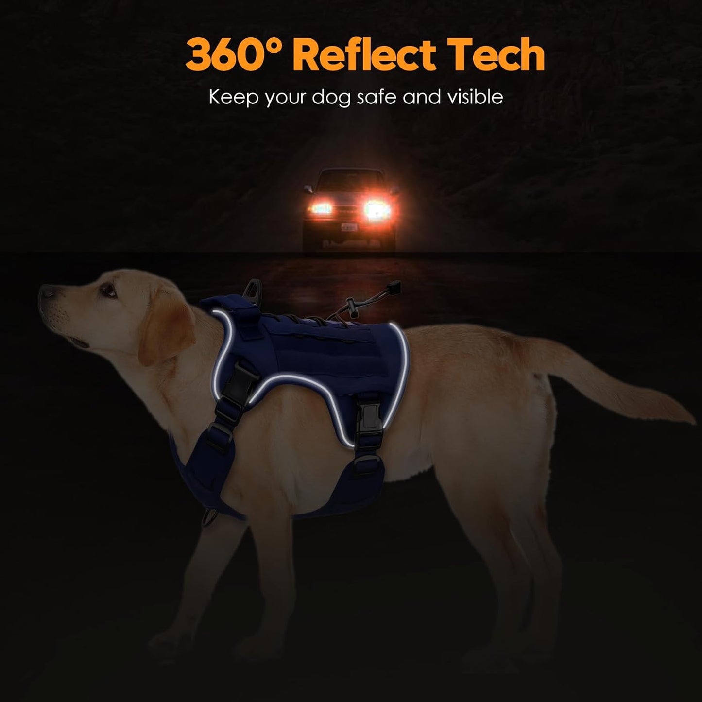 Heavy-Duty Tactical Dog Harness for Large Dogs, No Pull Adjustable Reflective Pet Vest with Molle System, K9 Military-Grade Control for Service Training, Outdoor & 10+ Breeds, Dazzling Blue, Large