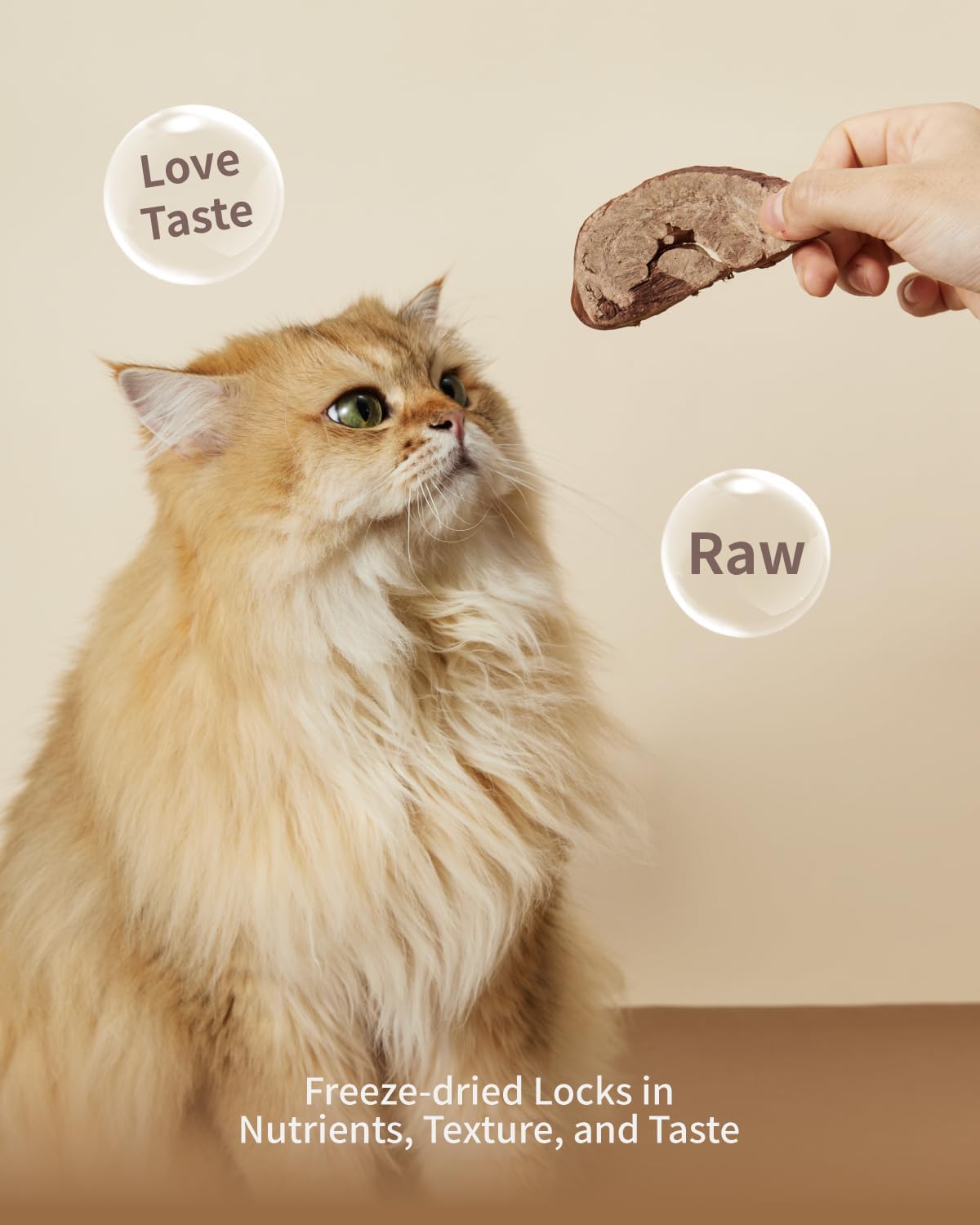 Freeze-Dried Pork Heart Treat for Small Dog & Cat, Natural Single Ingredient Cats Dogs Dry Food, Dehydrated Whole Cut Raw Treats for Heart & Coat Health(2.8 oz)