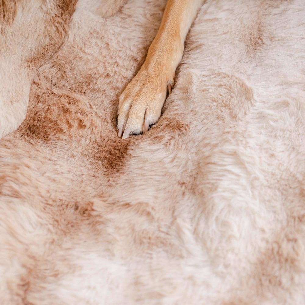 FUNNY FUZZY Fluffy Dog Car Seat Cover for Back Seat (Bench), Water-Resistant with Nonslip Backing,Pet Seat Protector for Cars SUVs Trucks（Brown