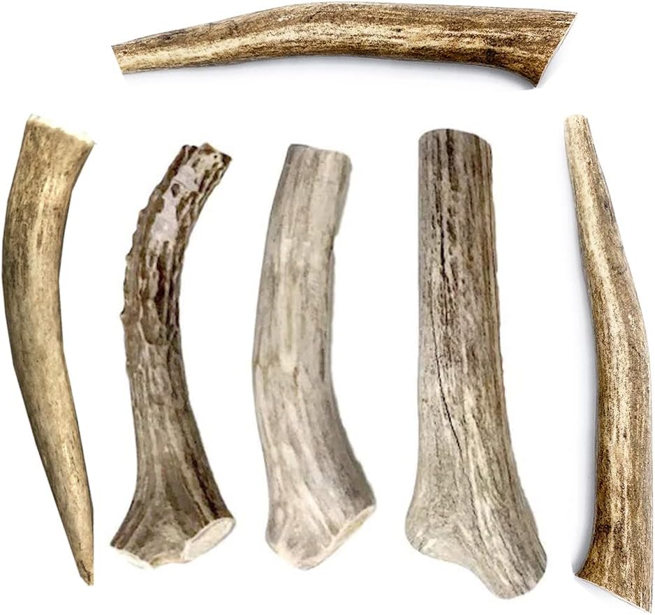 hotspot pets Premium Deer Antler for Dogs -(6 Pack) 4-7 Inch Long Lasting Dog Chews,Naturally Shed Deer Antler Bones for Small & Medium Breed Aggressive Chewers - Sourced in USA
