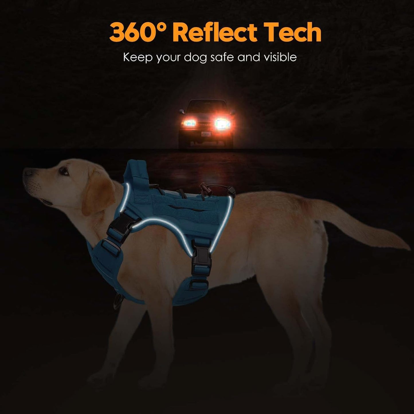 Heavy-Duty Tactical Dog Harness for Large Dogs, No Pull Adjustable Reflective Pet Vest with Molle System, K9 Military-Grade Control for Service Training, Outdoor & 10+ Breeds, Blue, Small