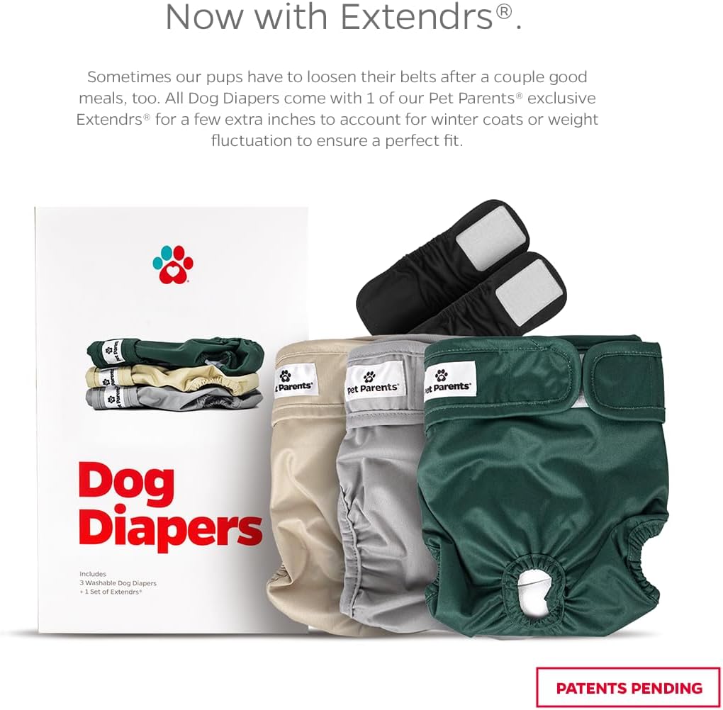 Pet Parents® Washable Dog Diapers (3pack) + Extendrs® of Durable Doggie Diapers, Premium Dog Diapers Female (Medium, Spruce)
