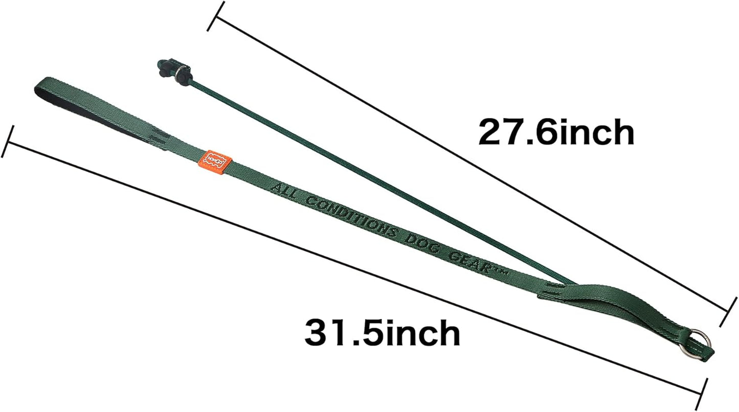 Howgo Dog Slip Lead Dog Leash, Training Lead, No-Pull Slip Leash and Collar, Heavy Duty & Durable Nylon, Padded Handle, for All Breeds (Green, 5FT)