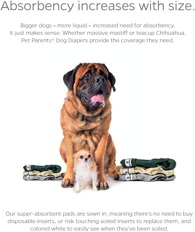 Pet Parents® Washable Dog Diapers (3pack) + Extendrs® of Durable Doggie Diapers, Premium Dog Diapers Female (Medium, Spruce)