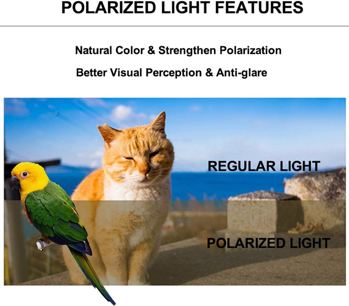 halinfer Bird Traval Carrier Cage, Polarized Tinted Brown Space Capsule Astronaut Backpack to Carry Parakeet Cockatiel Parrot with Metal Tray Wood Perch, Vet Transport Bag