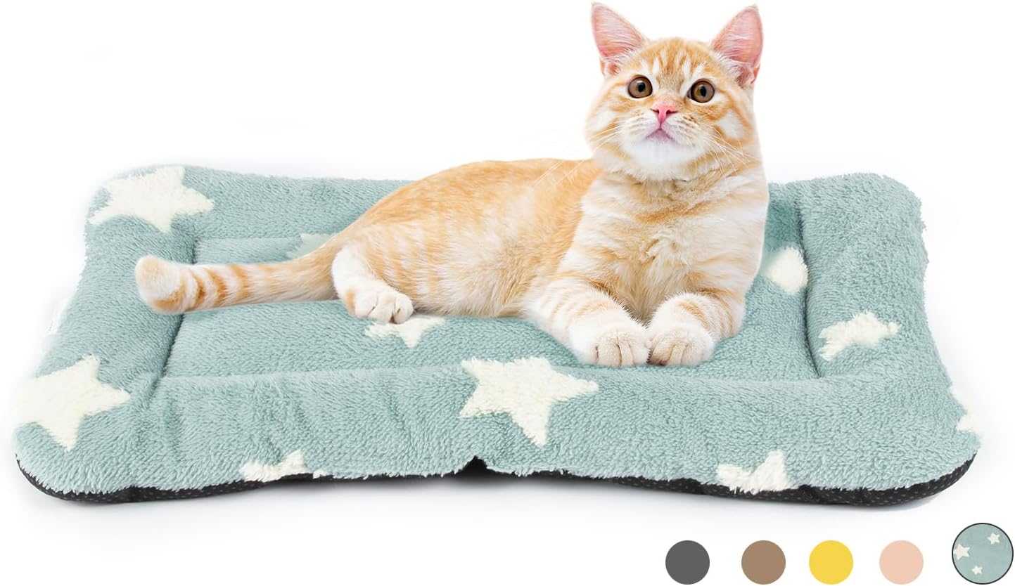 Mora Pets Cat Bed for Indoor Cats Washable Dog Crate Pad Cute Star Dog Bed Mat for Small Dogs Pet Kennel Pad for Cage Soft Flat Puppy Kitten Cushion for Sleeping Anti-Slip Blue 22 x 13