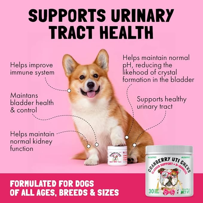 Cranberry UTI Chews for Dogs Bladder Support + D-Mannose Supports Kidney Urinary Tract and Bladder Health Natural Cranberry Wellness Supplement Immune System Booster Natural Pet Antioxidant 30 Chews