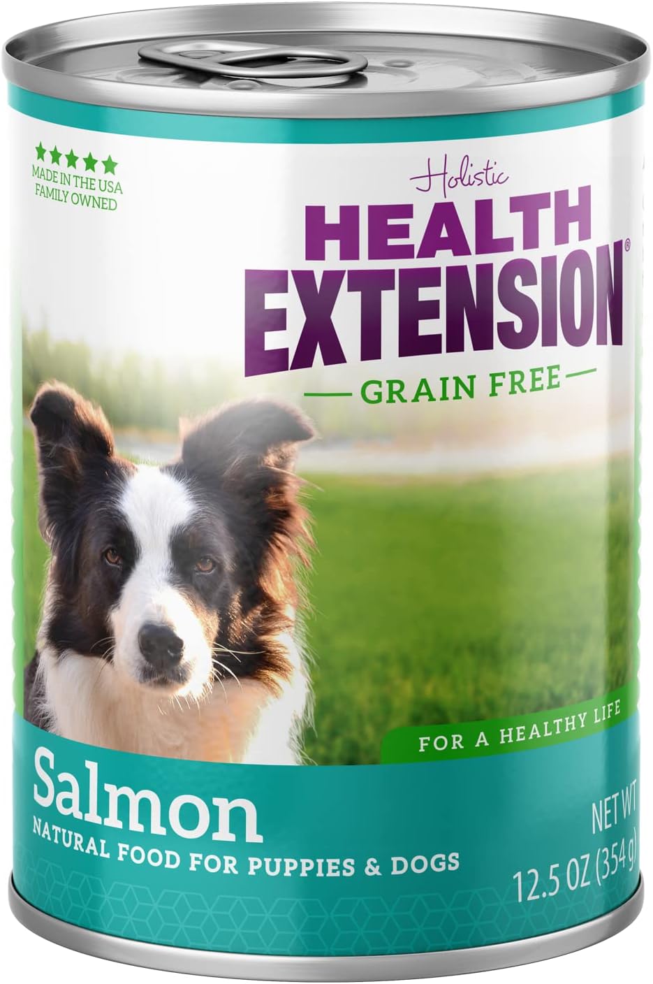 Health Extension 95% Salmon Entrée Wet Dog Food Grain-Free, 12.5 oz – Protein-Rich Recipe, Hydration Support, Ideal for Sensitive Stomachs (Case of 12 Cans)