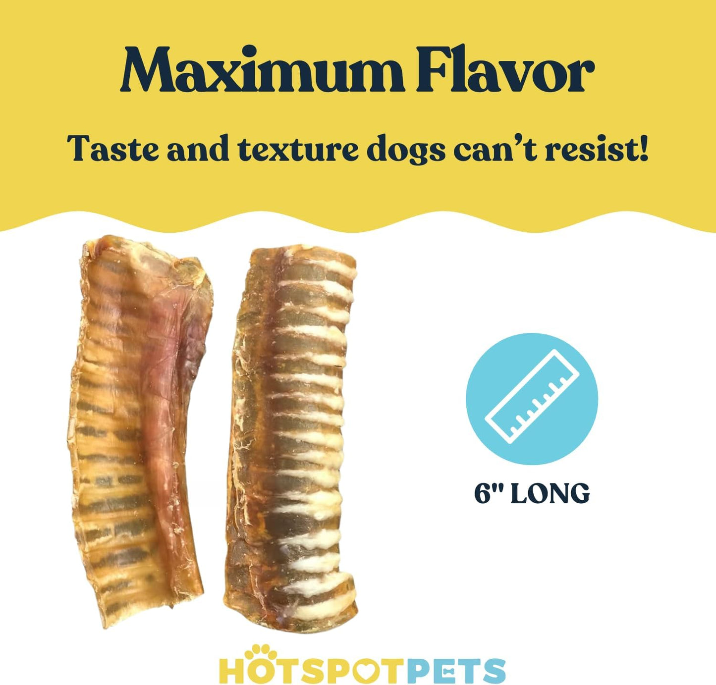 hotspot pets Premium Beef Trachea for Dogs 6" Strips Split (10 Pack) All Natural Grass-Fed Beef Dog Chews, Rich in Glucosamine Chondroitin for Joint Health, Single Ingredient No Rawhide Dog Treats