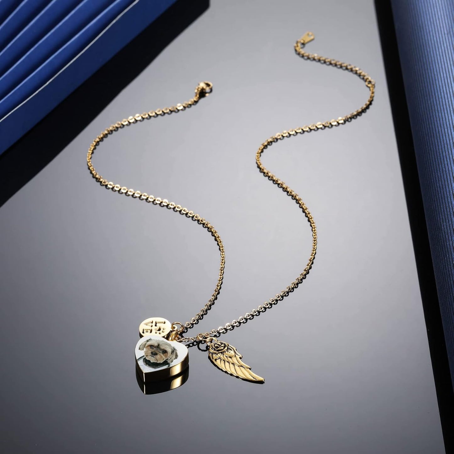 MeMeDIY Personalized Heart Paw Print Ashes Urn Pendant Necklace Custom Name/Photo/Date for Women Men Pet Lover Stainless Steel Memorial Dog Cat Pet Keepsake with Funnel Fill Kit Angel Wing