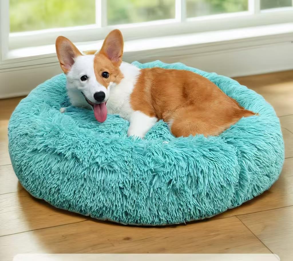 Cat Beds for Indoor Cats - Cat Bed Washable 20/24 inches, Dog Beds for Small Medium Dogs, Anti Anxiety Round Fluffy Plush Faux Fur Pet Bed, Thick Bottom (Blue, Medium)