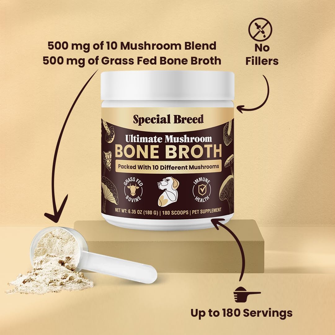 Beef Bone Broth for Dogs - Dog Bone Broth Powder with Ten Organic Mushrooms - High Protein + Ten Mushroom Supplement for Joint Flexibility, Immune Support, Cognition, Vitality, Hydration - 180 Scoops
