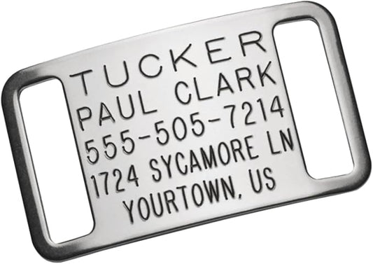Boomerang Tags Slide on Dog ID Tags Engraved for Pets - Collar Tag, Personalized, Silent, Custom Slide-on Stainless Steel Dog Name Tag (Closed End Large for 1 Inch Wide Nylon Collars with Belt Buckle)