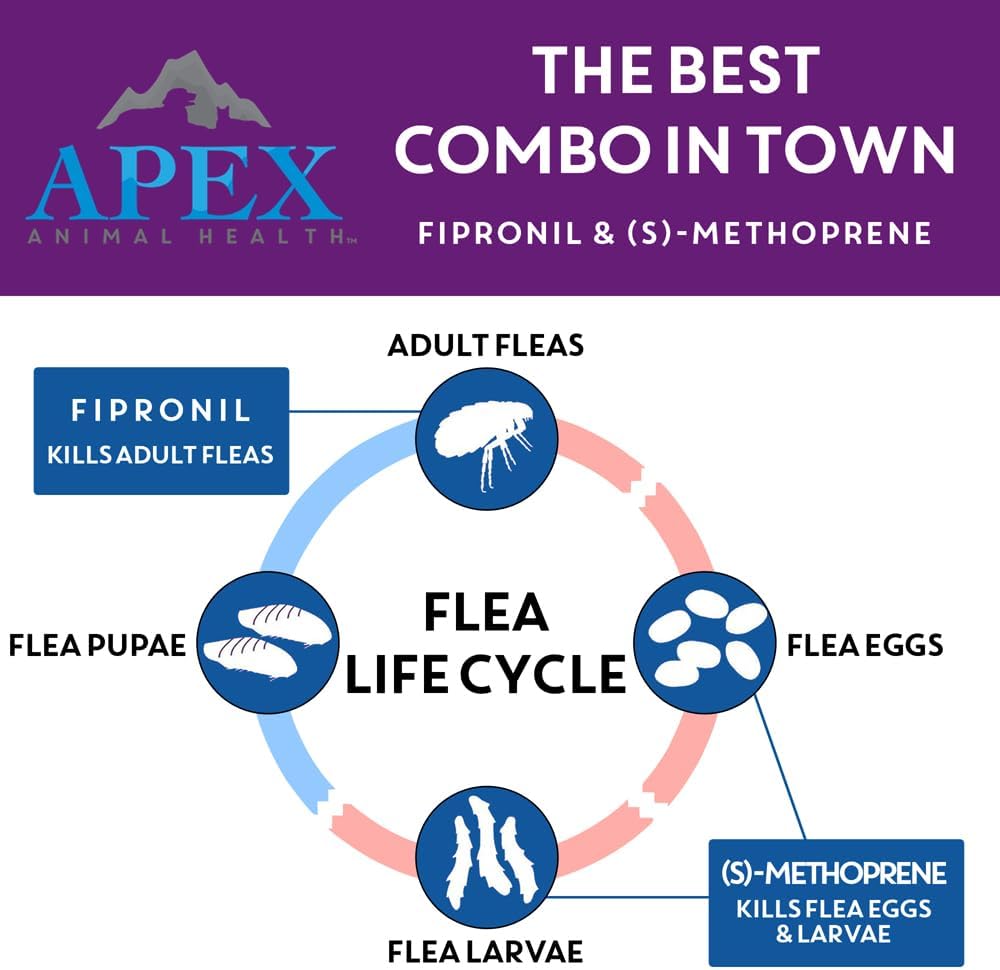 Apex Plus Flea and Tick Prevention for Dogs | Large (45-88 lbs) | 3-Month Supply | Dog Flea and Tick Treatment | 24-Hour Activation, Waterproof, 30-Day Protection