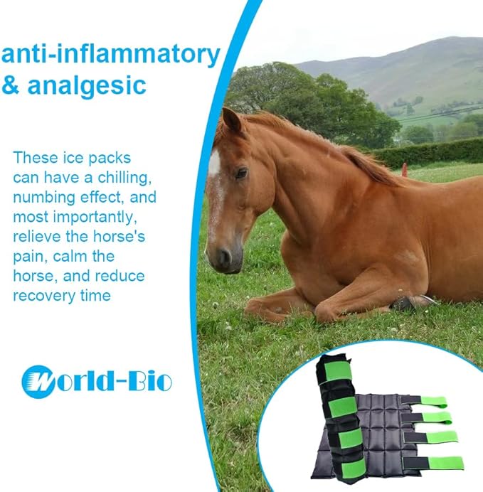 WORLD-BIO Horse Ice Boots Set of 2 /Horse Ice Pack for Injuries, Therapy Full Leg Ice Boot Cold Pack with Flexible Straps for Hock, Ankle, Knee, Legs and Hooves, 16.9'' x 16.1'' Green