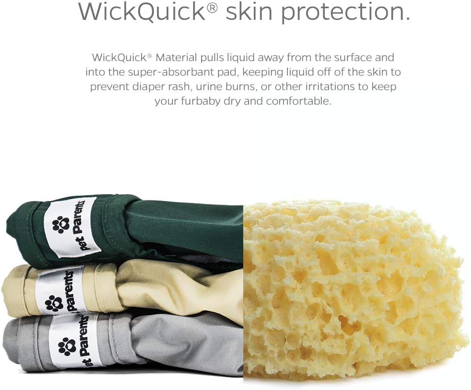 Pet Parents® Washable Dog Diapers (3pack) + Extendrs® of Durable Doggie Diapers, Premium Dog Diapers Female (Large, Spruce)