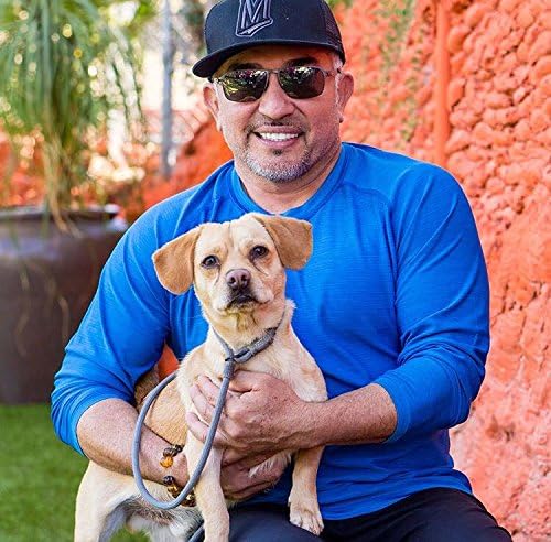 Cesar Millan Slip Lead Leash™ - 2-in-1 Slip Collar Dog Training Lead & Collar | Heavy Duty Durable Weatherproof Rope Leash, No Pull Training | Length 4ft Diameter 4/10”(Regular, Grey)