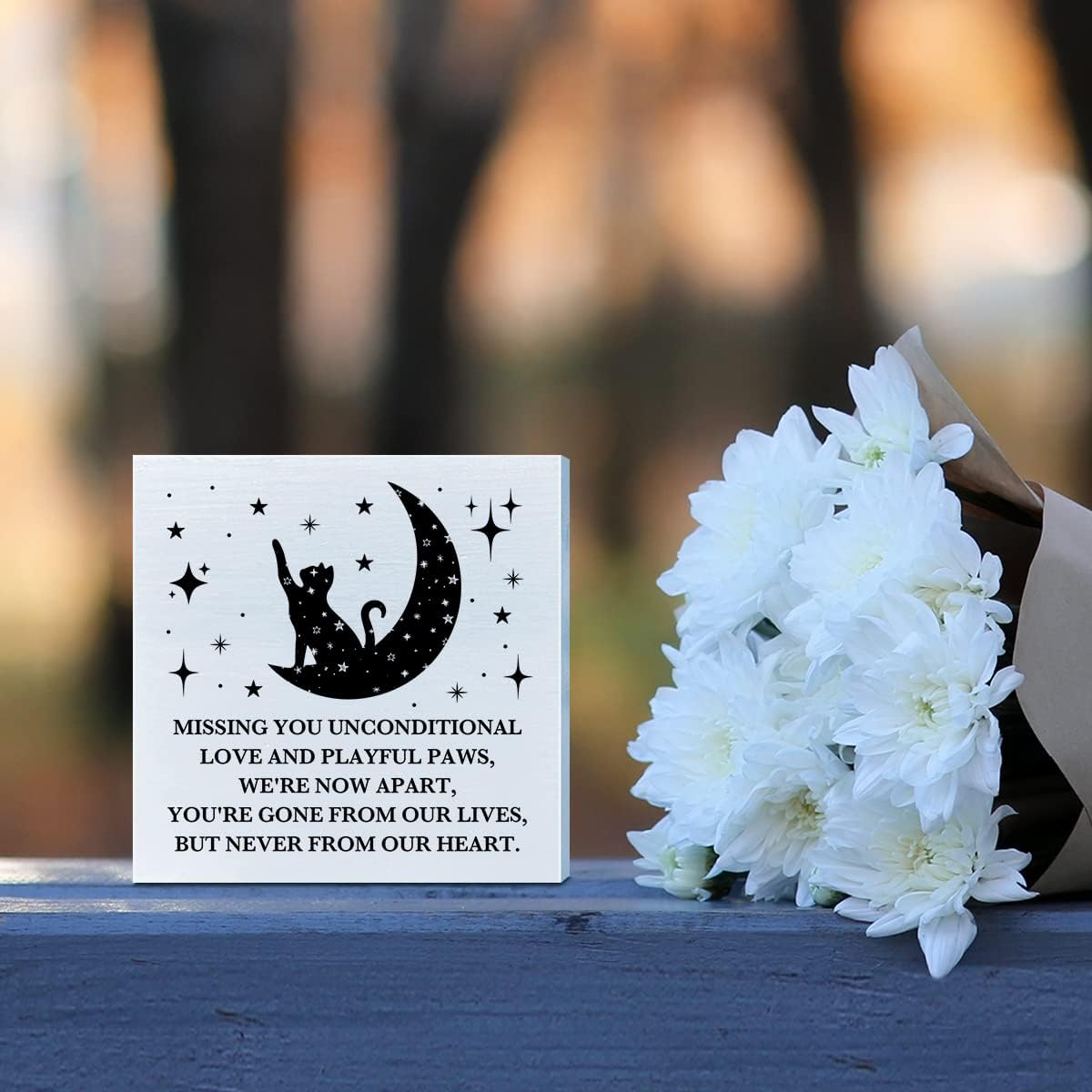 Memorial Gifts for Lose of Cat, Sympathy Gifts for Pet Cat Remembrance Bereavement, Missing You Unconditional Love Memorial Desk Decor Wooden Box Sign