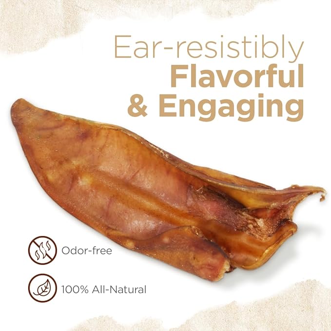 Natural Farm Half Pig Ears for Dogs (50-Pack), One Ingredient: Natural Pigs Ears, Air Dried, Long-Lasting & Highly Digestible Treats, Great for Puppy and Large/Medium Dogs