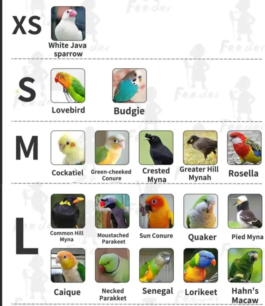 Bird Flight Suits Diapers for Monk Parakeets, Conures, Lovebirds, Cockatiels Flight Suits, Parrot Clothes, Bird Training Nappy Suit Liners Clothes (X-Small,Blue-B)