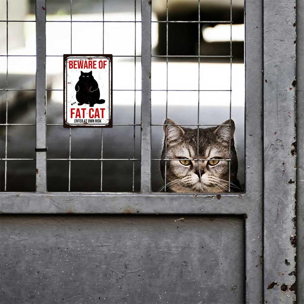 Funny Vintage Cat Metal Sign Beware of Cat Aluminum Sign Animal Decor 8 x 12 inch